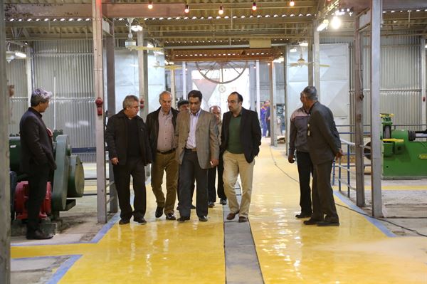 Director of Petroleum Museums visiting museums project in Abadan 
