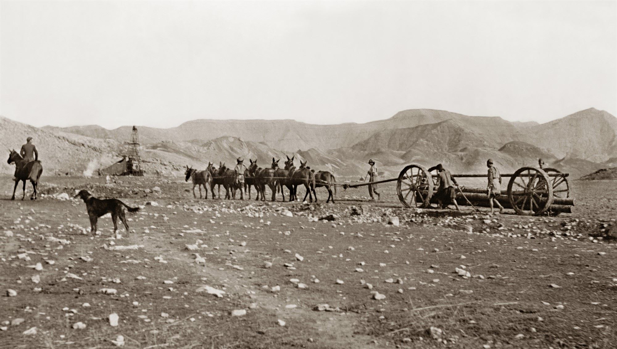 ماجرای طلای سیاه ایران (5)