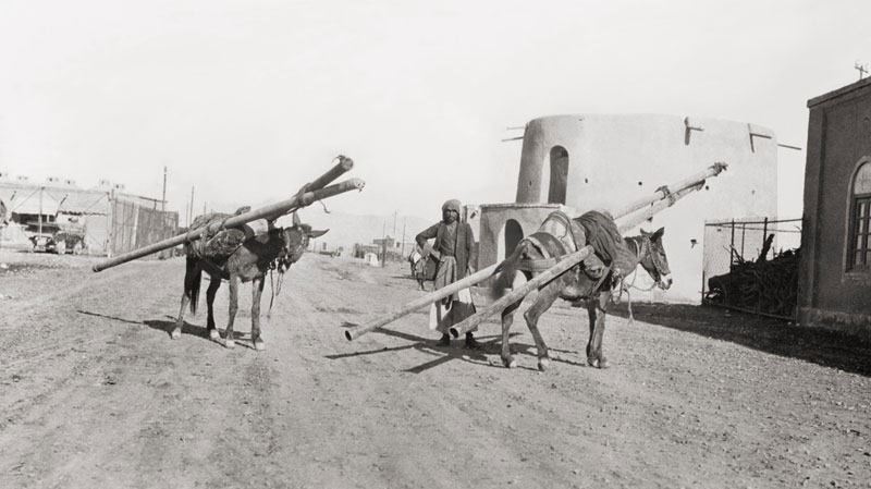 حمل لوله توسط چهارپایان در پالایشگاه آبادان 