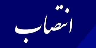 مسئول بررسی طرح‌های موزه‌ای مدیریت مرکز اسناد منصوب شد