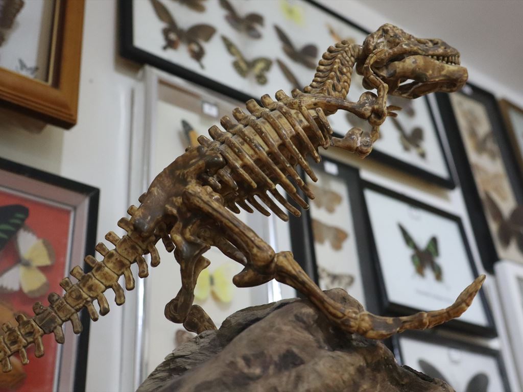 اهدای بخشی از گنجینه فسیل‌ها و ابزارهای زمین‌شناسی «عبدالحمید معمارضیا» به موزه نفت